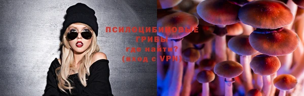 PSILOCYBIN Михайлов