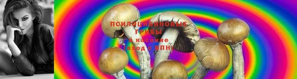 мет Вяземский