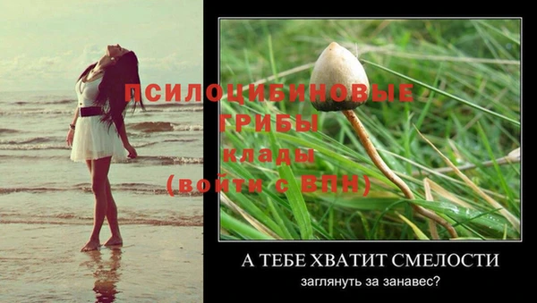 mdma Чекалин